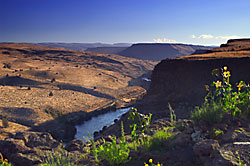 Oregon Willamette Valley
